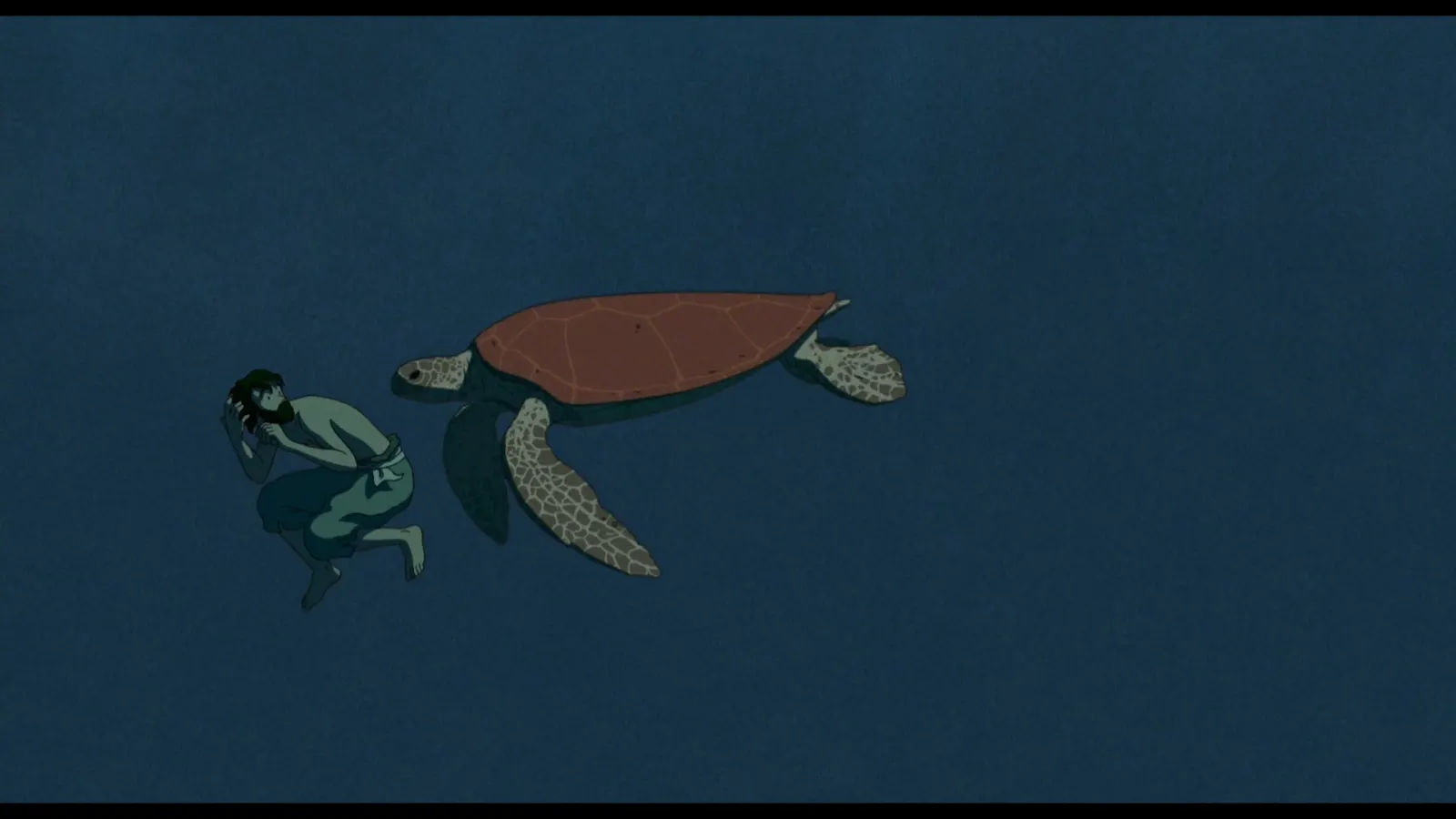 Turtle stares menacingly at man. A timeless love story.