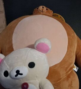 Image of two stuffed bears